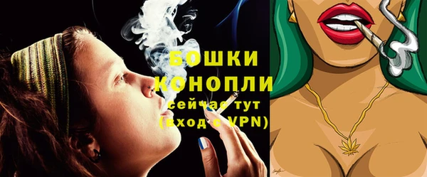 ешки Арсеньев