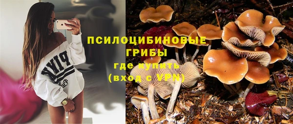 ешки Арсеньев
