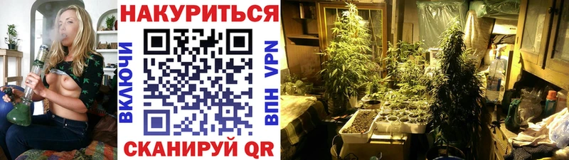 как найти наркотики  Перевоз  МАРИХУАНА гибрид 
